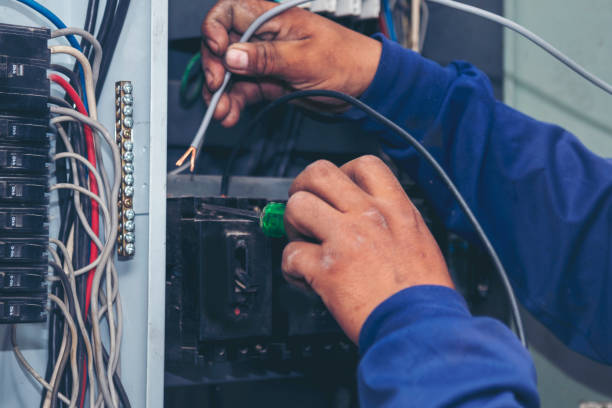 Best Licensed Electrician  in Dallas Center, IA
