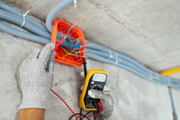 Best Electrician for Home Renovation  in Dallas Center, IA